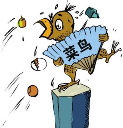 網(wǎng)絡用語菜鳥是什么意思？菜鳥=新手？菜鳥笨蛋齊名